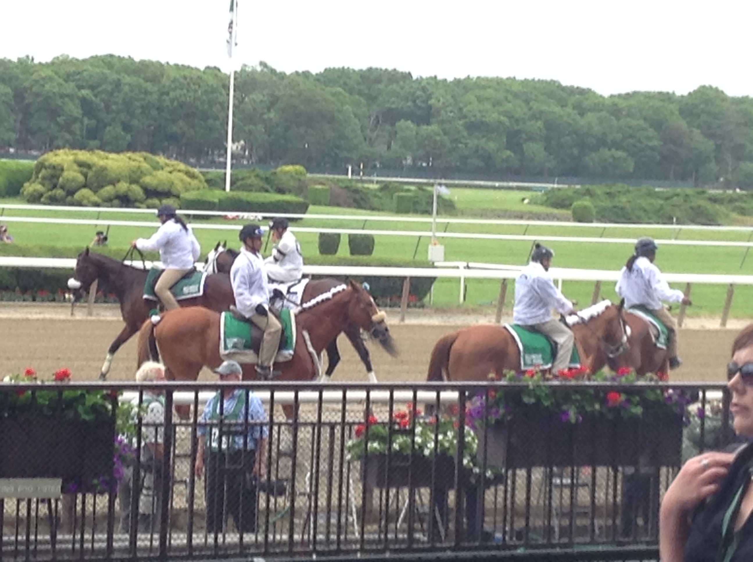 Belmont Stakes – Let it Ride!