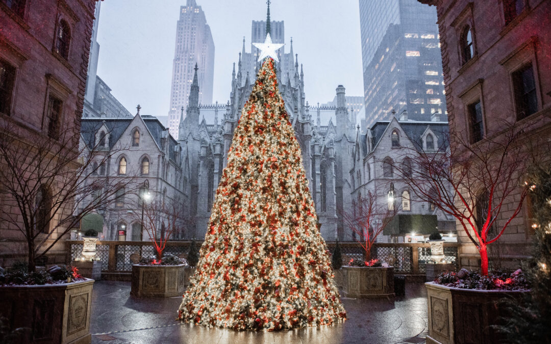 It’s Christmas Week in New York City!